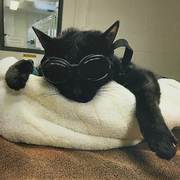 Meet your Posher, Nan POSHMARK AMBASSADOR! - Picture 1 of 1